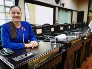 Diputada Ana Lucía Delgado