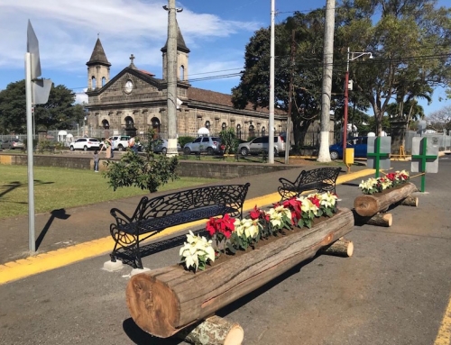 “Deja una huella verde en el camino” y sé parte de la Feria Ambiental Artesanal 