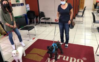 Grupo Mutual Pets Friendly