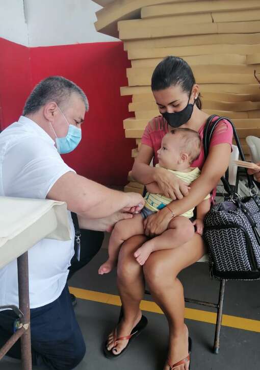 vacuna influenza estacional