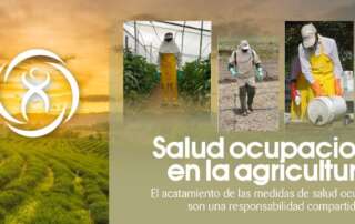 salud ocupacional en la agricultura