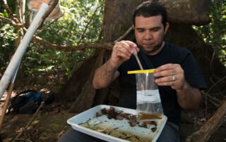 dengue en centroamérica