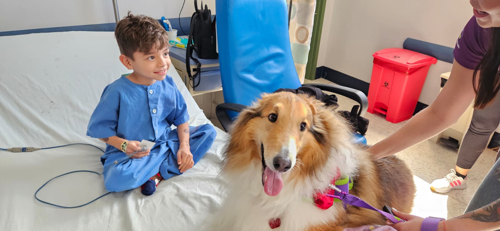 terapia asistida con animales