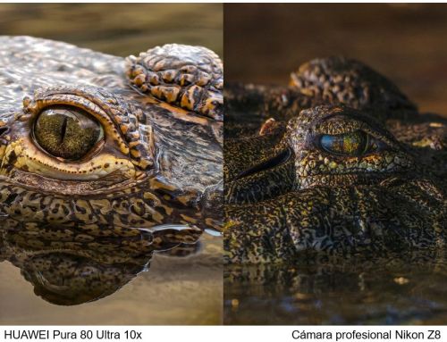 DXOMARK corona al HUAWEI Pura 80 Ultra: dominio sin igual de la fotografía y el vídeo