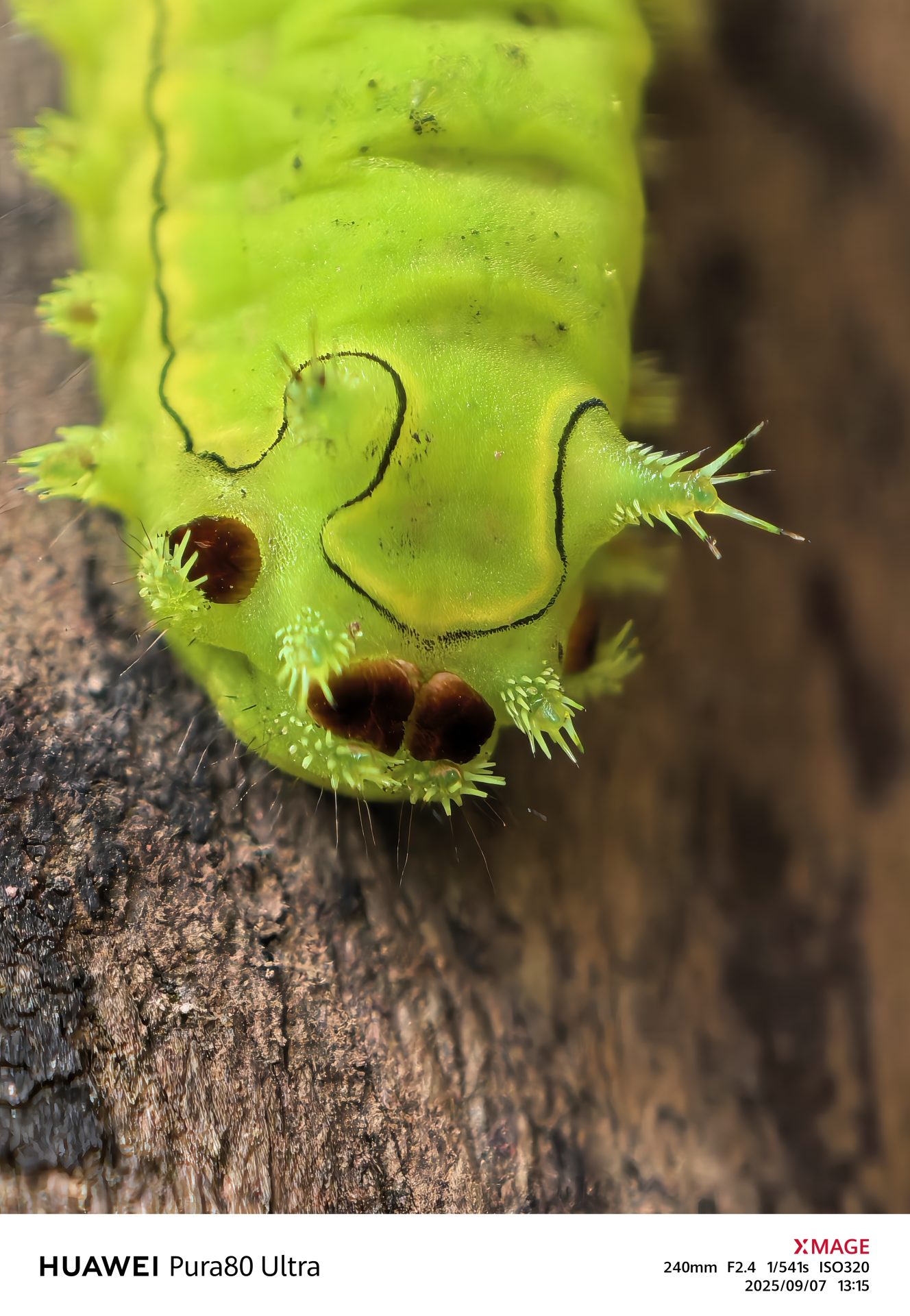 HUAWEI Pura 80: Un smartphone que sorprende hasta a los fotógrafos profesionales