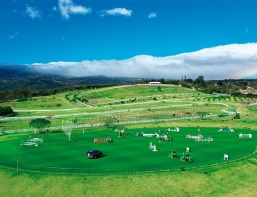 Visión regenerativa: el compromiso de Hacienda Barvak con el ambiente y la sociedad 