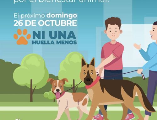 ¡Ni una huella menos! Heredia organiza una caminata por el bienestar animal