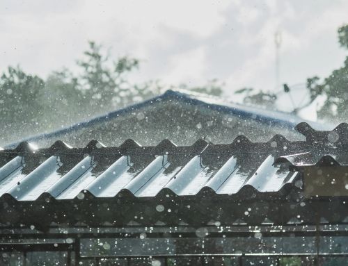 Evite problemas de salud y estructurales ocasionados por el moho