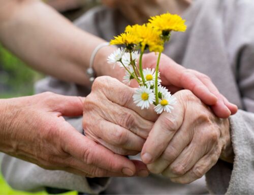Abandono de personas adultas mayores se intensifica en Navidad y vacaciones