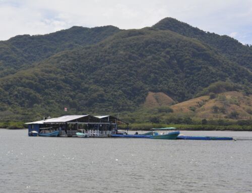Granjas marinas y restaurantes flotantes cambian el rostro del Golfo de Nicoya gracias a iniciativa conjunta de varias instituciones