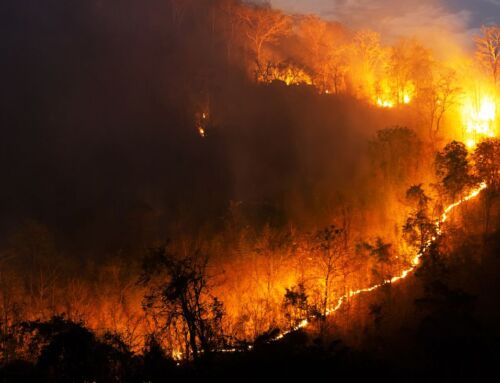En lo que va del año se han atendido 85 incendios forestales