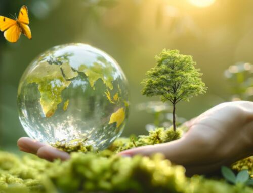 La sostenibilidad ambiental toma el corazón de Heredia