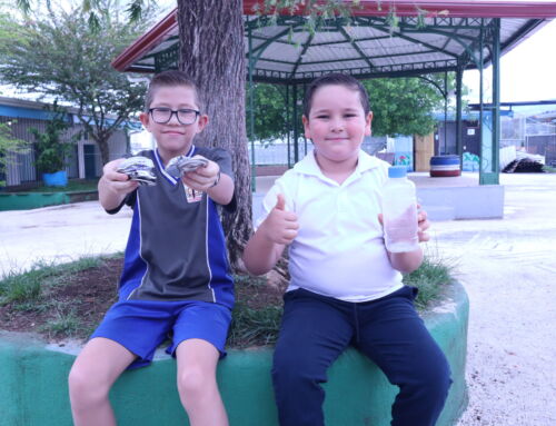 Escuelas y colegios aún están a tiempo de inscribirse en el Premio AmbientaDOS 2026