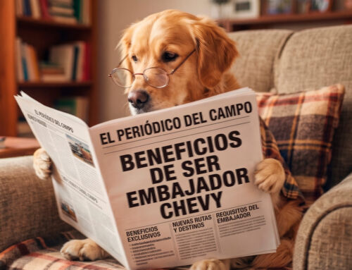 Chevrolet Grupo Q te invita a postular a tu mascota para convertirse en la embajadora oficial de la marca