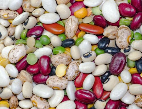 Productores nacionales de frijol enfrentan una de sus peores crisis