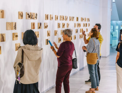 Lo efímero y eterno dialogan en exposición de Ana Broennimann inspirada en naturaleza