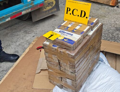 En Santo Domingo de Heredia: PCD decomisa 43 paquetes de cocaína en contenedor