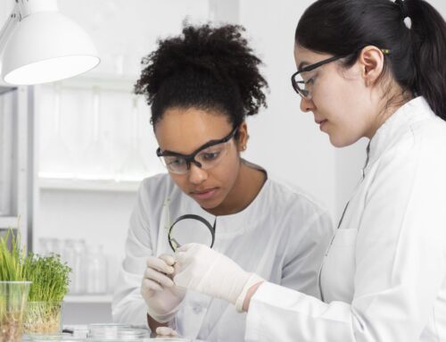 Heredia tendrá su primer Colegio Científico y abrirá sus puertas en 2027
