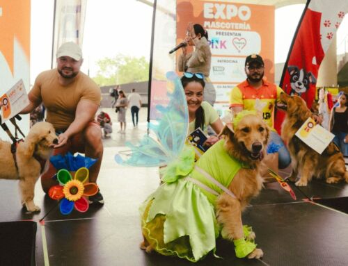 En Heredia: Adopciones responsables y mascotas de terapia serán protagonistas de Expo Mascotería
