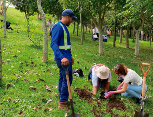 Hacienda Barvak contribuye a la reforestación en Barva con siembra de 10.000 árboles