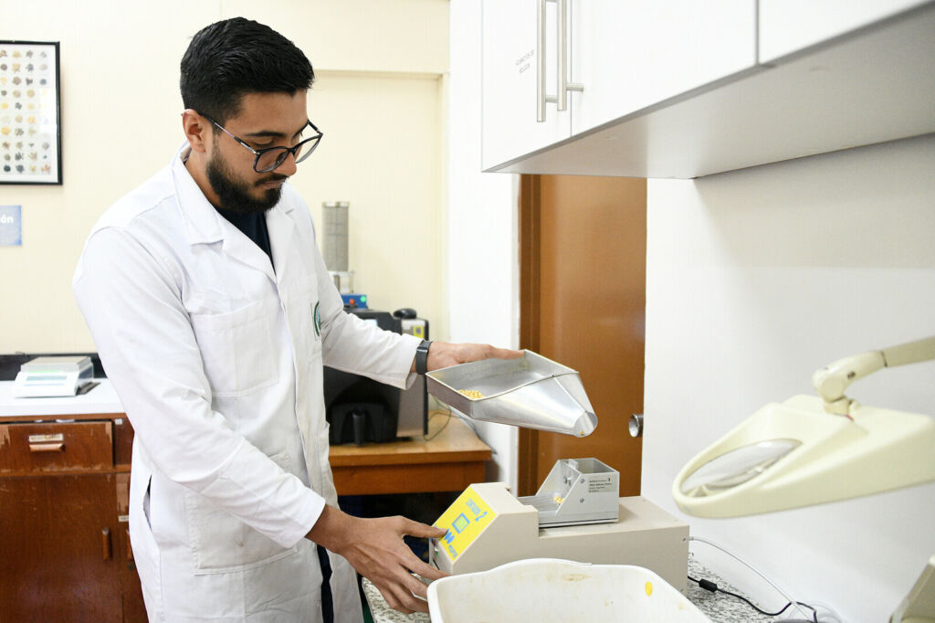 La investigación es uno de los pilares del quehacer universitario, y desde donde se obtienen resultados que impactan en diversos sectores, como lo ha desarrollado el Centro de Investigaciones en Granos y Semillas (Cigras-UCR). Foto: Laura Rodríguez.