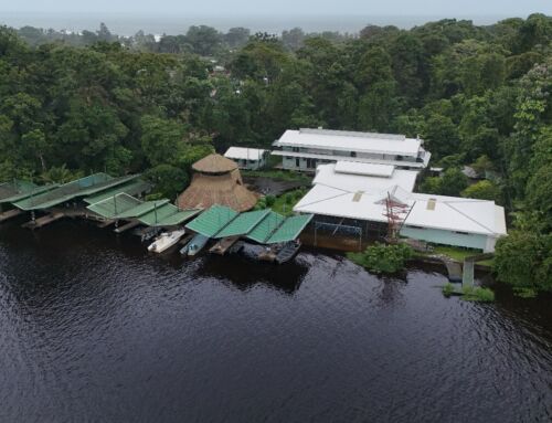 Construcción de sendero universal mejorará la accesibilidad en el Parque Nacional Tortuguero