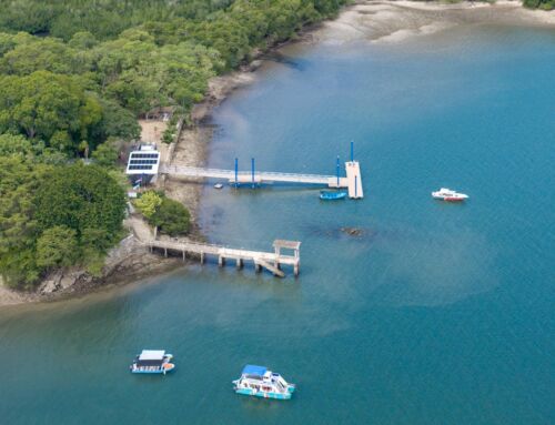 Moderno embarcadero turístico inicia operaciones en Isla San Lucas para el mejoramiento de la experiencia de los turistas